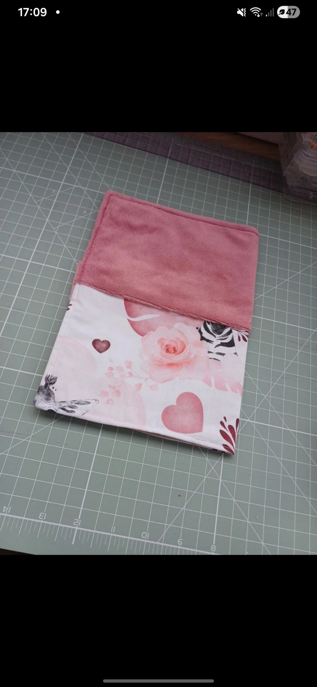 Health record protector – photo 2